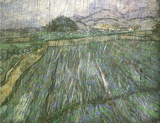 Wheat-Field-in-Rain