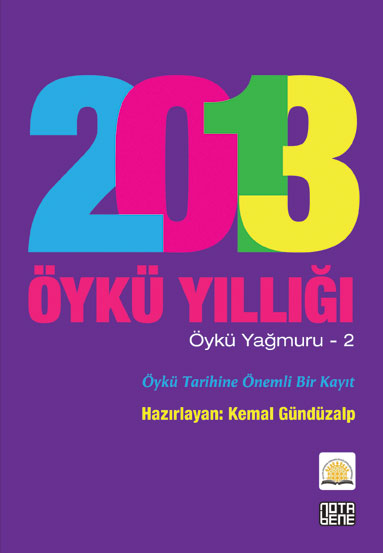 2013-Oyku-Yilligi-Kapak