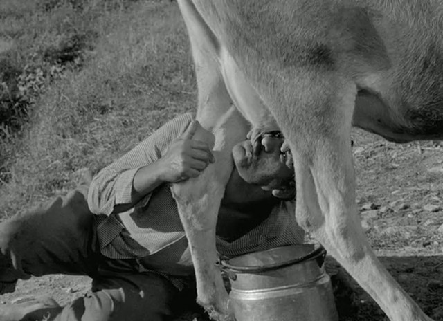 susuz-yaz(1963)